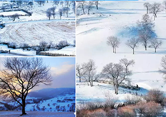 乌兰布统冬季五日游--赏雪之旅